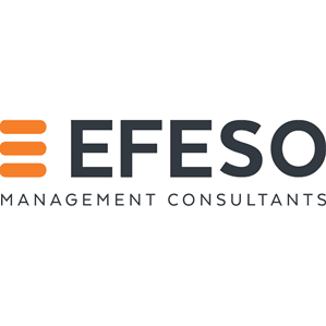 Efeso Consulting Srl